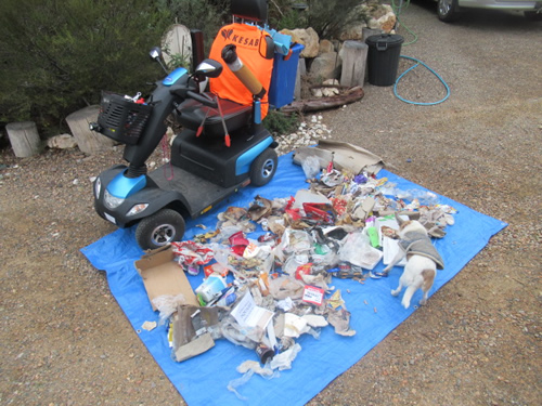 Roadside litter collected by KESAB volunteer Gavin Smith and trusty friend Doggo