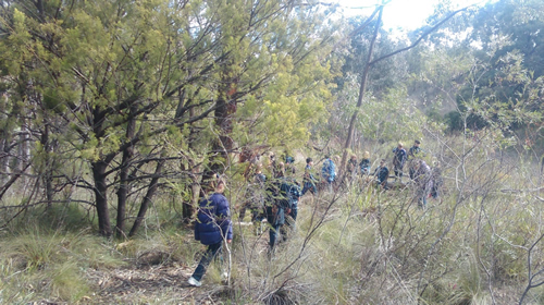 Bridgewater Primary School took visiting schools for a nature walk through Heron Reserve at the first Student Action Forum