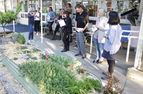Educators gaining knowledge on developing engaging food gardens for students at the Permaculture focussed PD