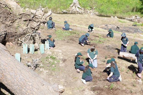Students were involved in revegetating the park by preparing the area ready for planting seedlings